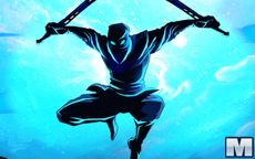 Shadow Ninja