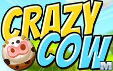 Crazy Cow