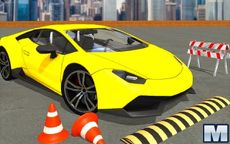 Simulation Racing Car Simulator