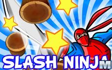 Slash Ninja