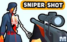 Sniper Shot
