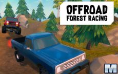 Offroad Forest Racing