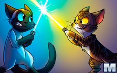 Cats Arena