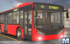 City Bus Driver