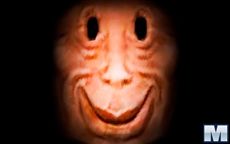 Mr. Noob Eat Burguer