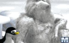 Pingu-throw