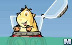 Aquapigs