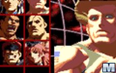Street Fighter Flash