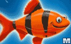 Franky The Fish