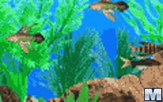 Fish Tycoon