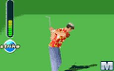 Golf Master 3d