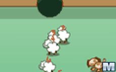 Sheep Pool