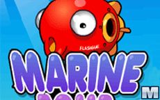 Marine Bomb