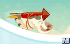 Polar Boar