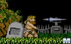 Ghosts'n Goblins