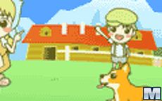 Sheep