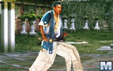 Kung Fu Election