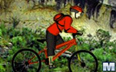 Mountain Bike and the nature