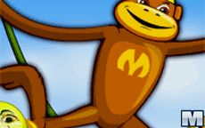 Spider Monkey