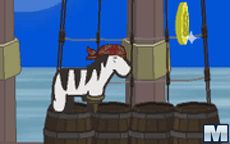 Pirate Zebra