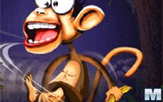Monkey Adventure