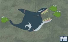 Killer Whale