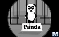 Disparando a pandas con francotiradores