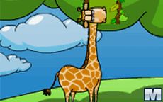 Giraffe Above