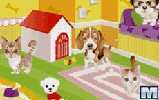 Pets Shop