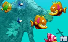 Fish Tales