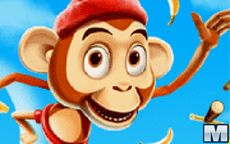 Crazy Monkey Spin