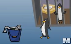 Zoo Escape