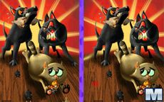 Encuentra las diferencias en los gatitos