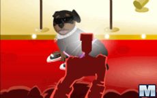 Juego Petz Fashion - Cuida baña o peina a perros y gatos