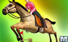 Jockey 3D - juego de cuidar caballos