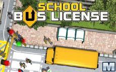 School Bus Licence