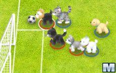 Fútbol con mascotas