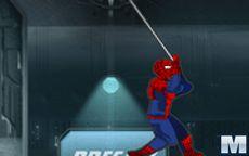 Ultimate Spiderman Zodiac