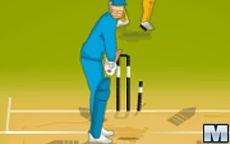 IPL Cricket Ultimate