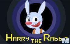 Harry the Rabbit