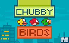 Chubby Birds