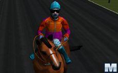Horse Ride Racing 3D