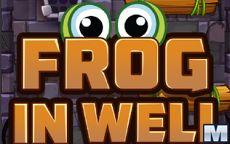 Frog In Well