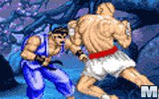 Street Fighter Ii - Ryu Vs Sagat