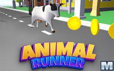 Animal Running