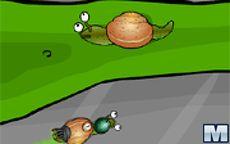 The Fastest Snail
