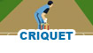 Juegos de criquet
