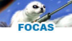 Juegos de focas