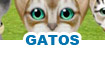 Juegos de gatos