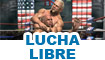 Juegos de lucha libre